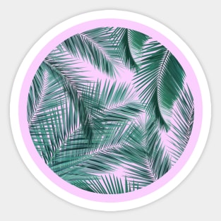 Palm Leaves Sticker